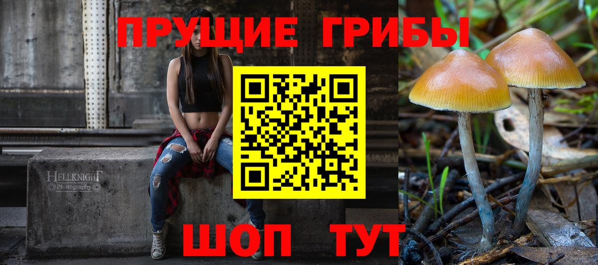 Салехард  Псилоцибиновые грибы GOLDEN TEACHER  Вход с VPN 